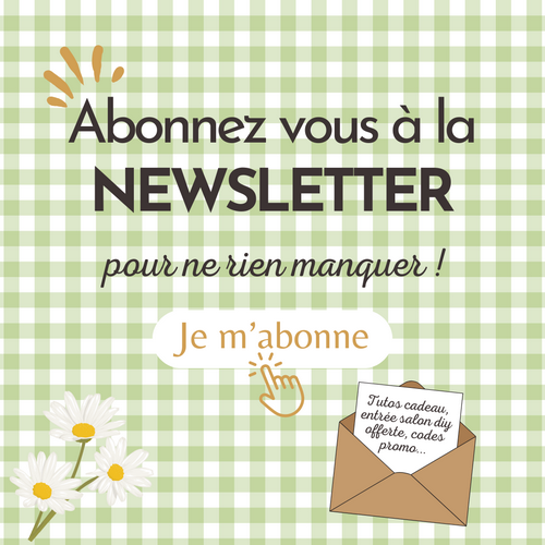 Newsletter Pic et Point